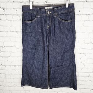 TEX by MAX AZRIA | wide leg flare goucho jeans